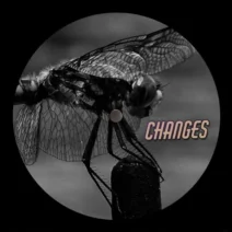 Phillip O - Changes [Elk musikk]